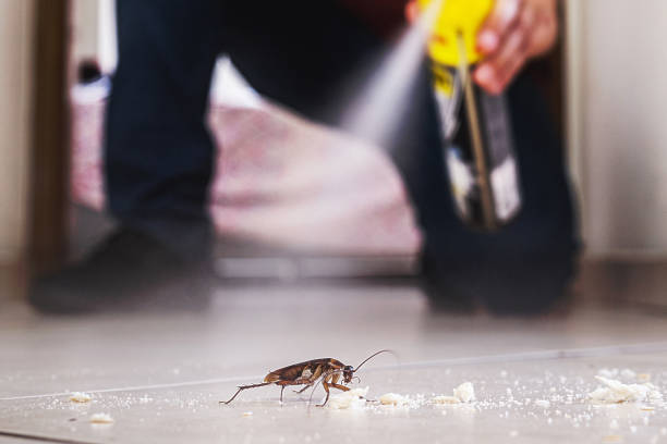 Best Pest Prevention Services  in Sunnyside, WA