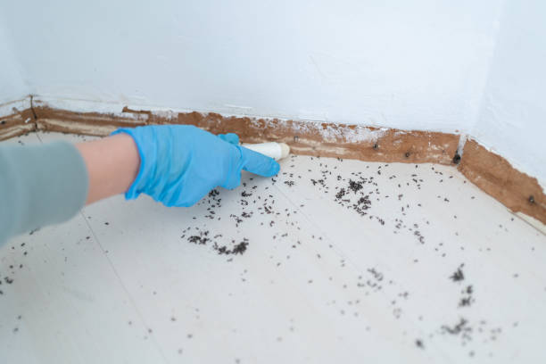 Best Best Pest Control Companies  in Sunnyside, WA